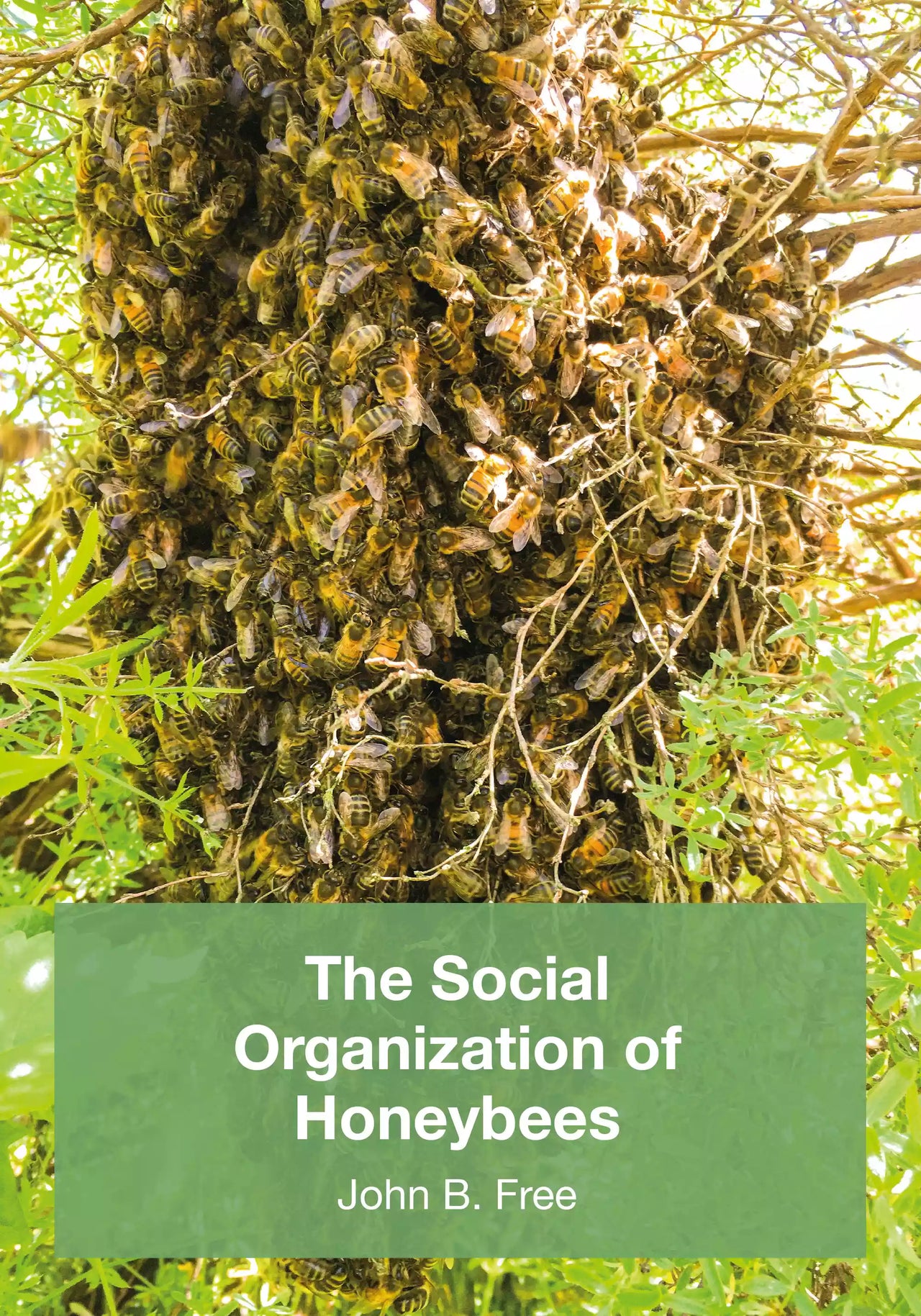 The Social Organisation of Honeybees, Free