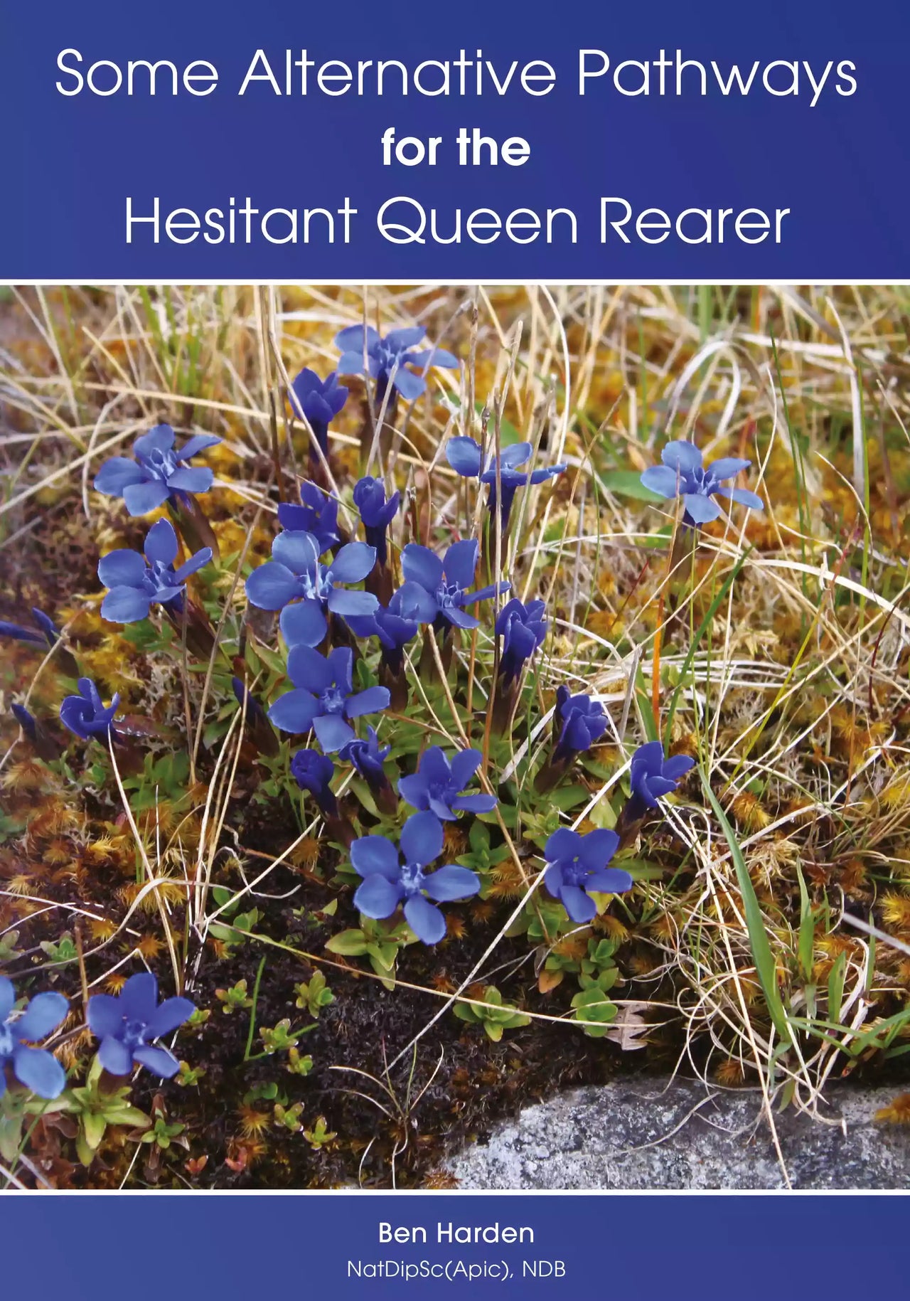 Some Alternative Pathways for the Hesitant Queen Rearer, Harden