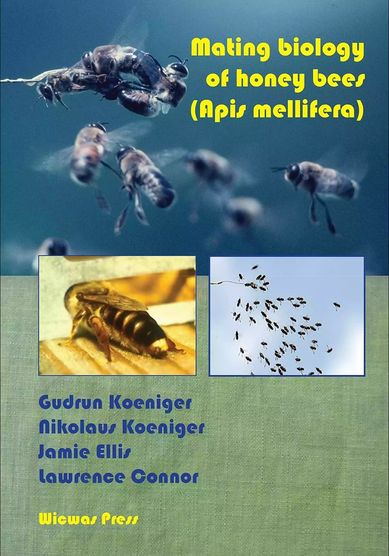 Mating Biology of Honey Bees (Apis mellifera), Koeniger, Koeniger, Ellis, Connor