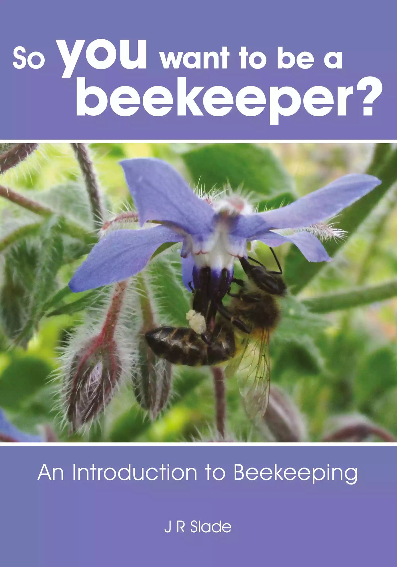 So you want to be a Beekeeper? Slade