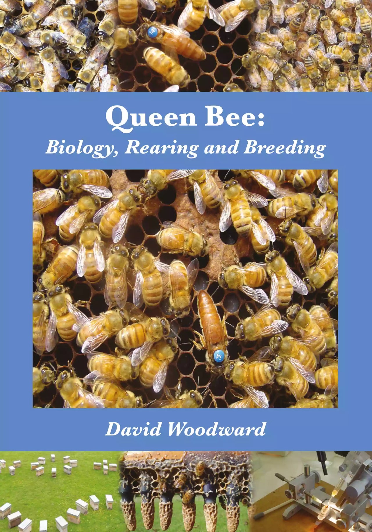 Queen Bee: Biology, Rearing and Breeding, Woodward