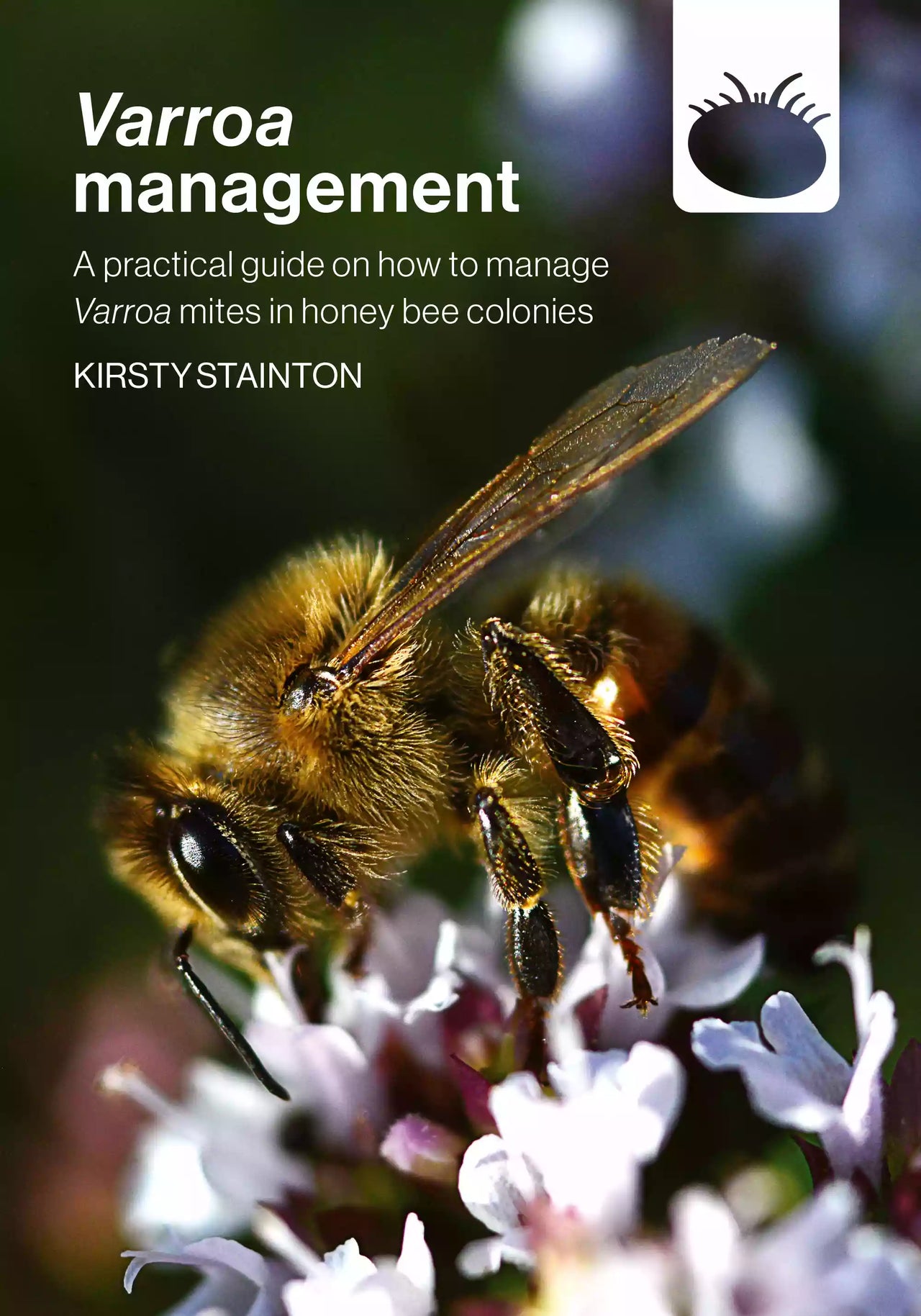 Varroa management, Stainton