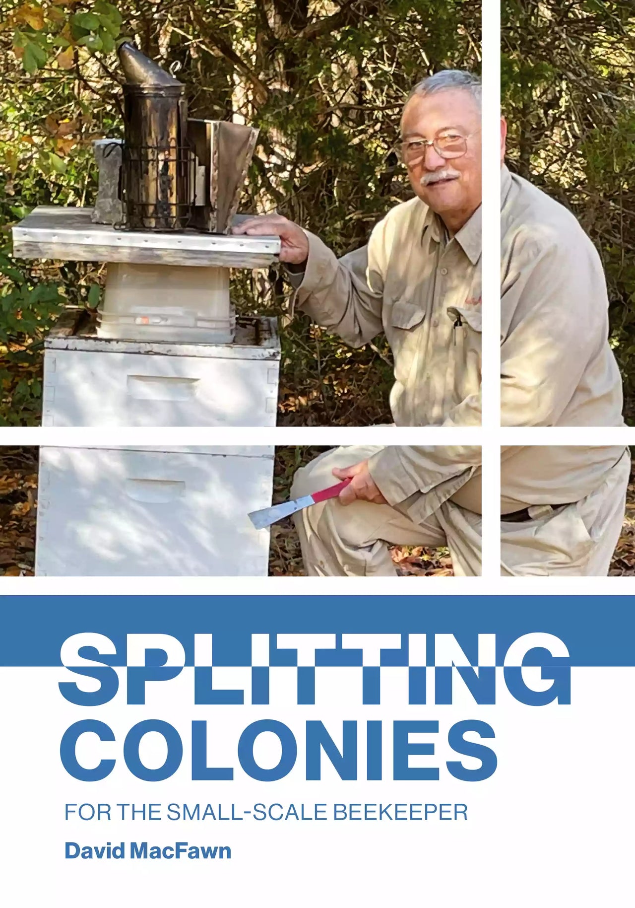 Splitting Colonies, MacFawn