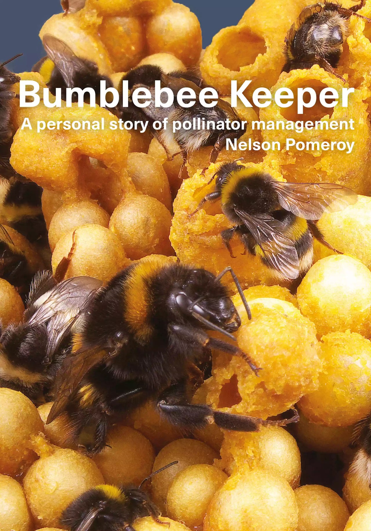 Bumblebee Keeper, Pomeroy