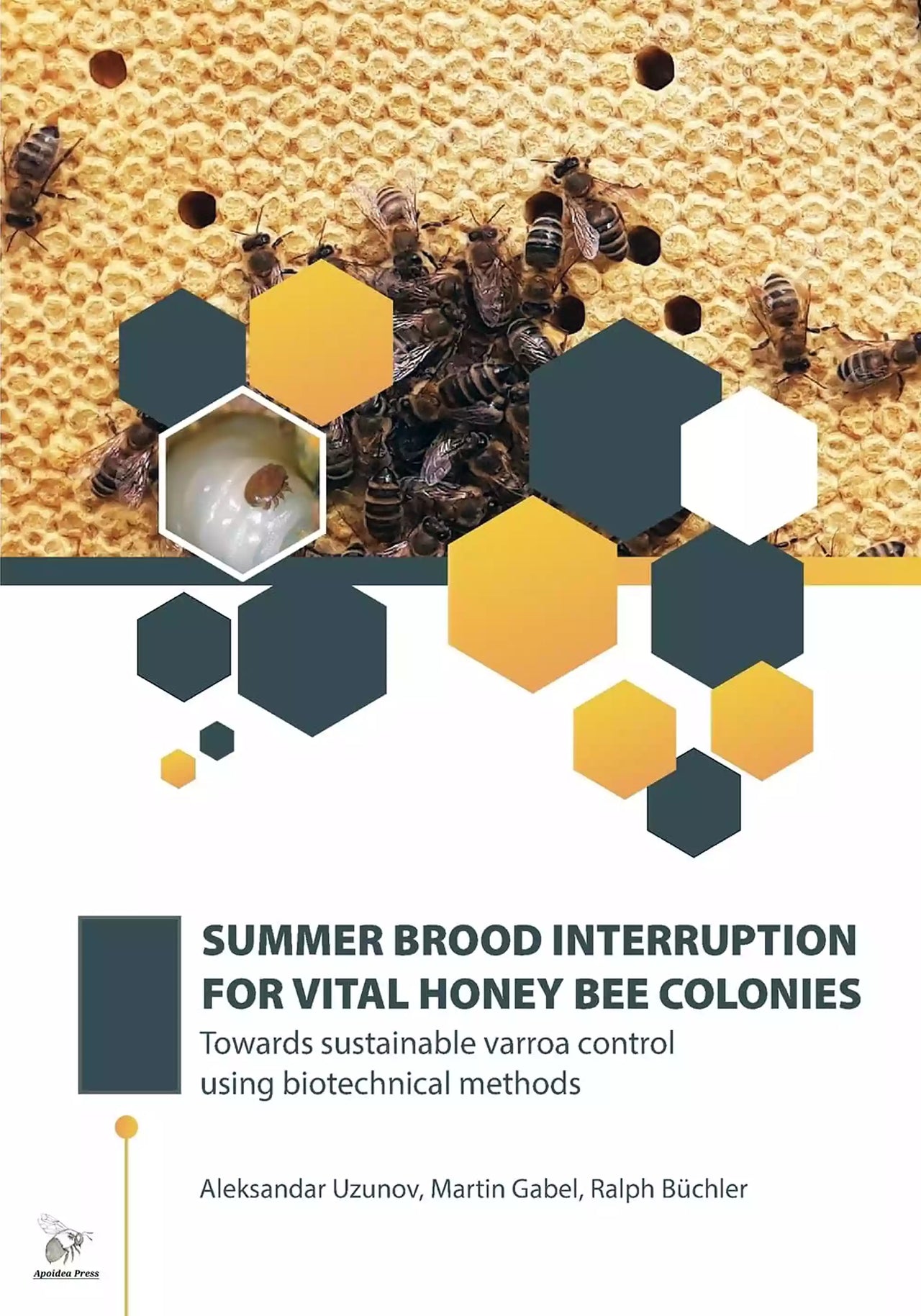 Summer Brood Interruption for Vital Honey Bee Colonies, Uzunov, Gabel, Büchler