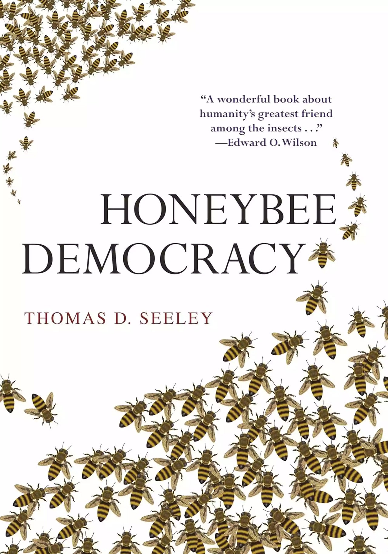 Honeybee Democracy, Seeley