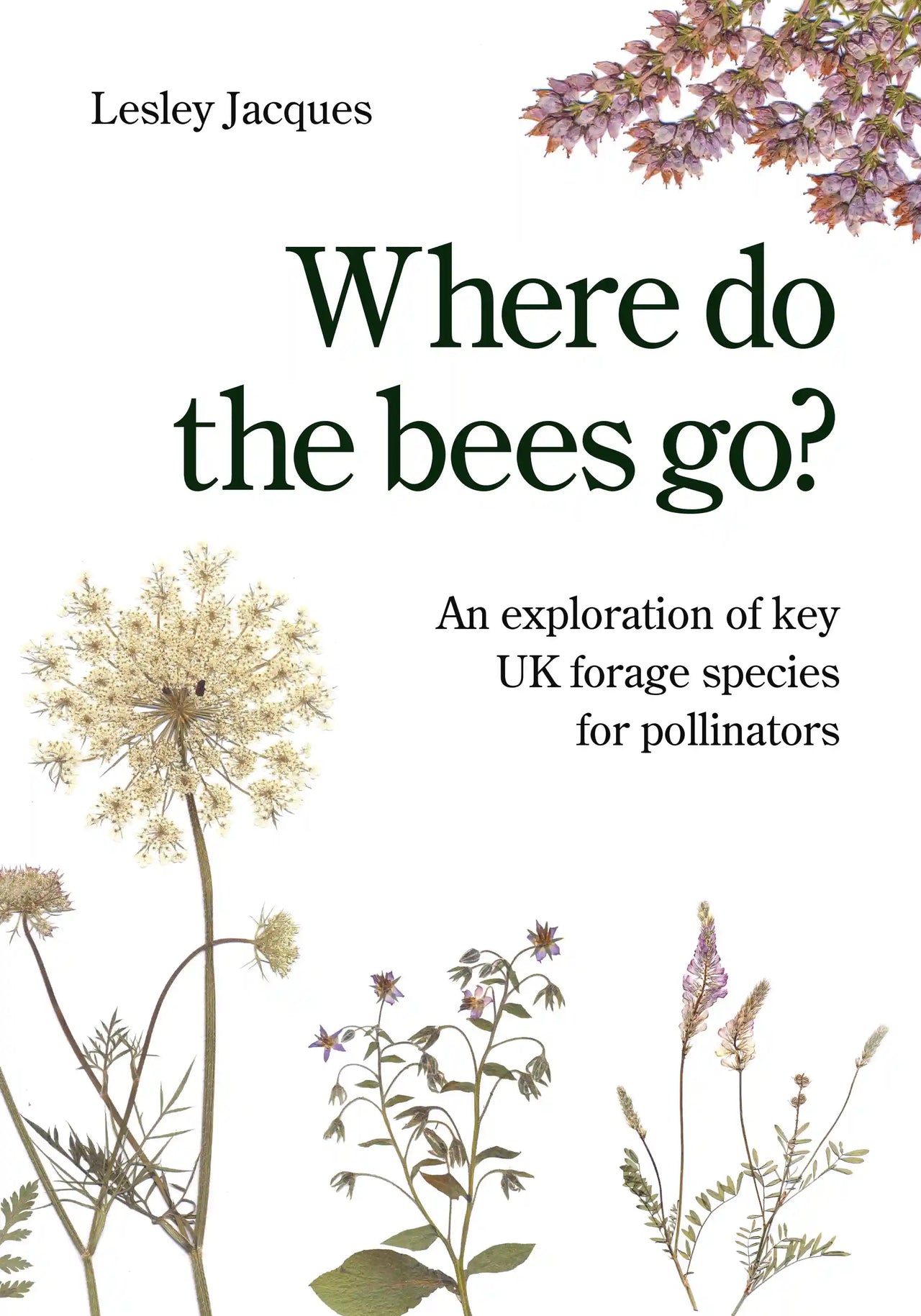 Where do the Bees Go? Jacques NDB